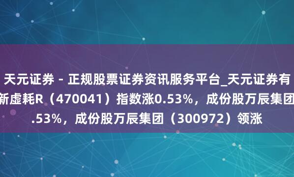 天元证券 - 正规股票证券资讯服务平台_天元证券有限公司 1月6日鼎新虚耗R（470041）指数涨0.53%，成份股万辰集团（300972）领涨