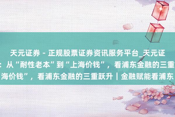 天元证券 - 正规股票证券资讯服务平台_天元证券有限公司 解码2025：从“耐性老本”到“上海价钱”，看浦东金融的三重跃升｜金融赋能看浦东